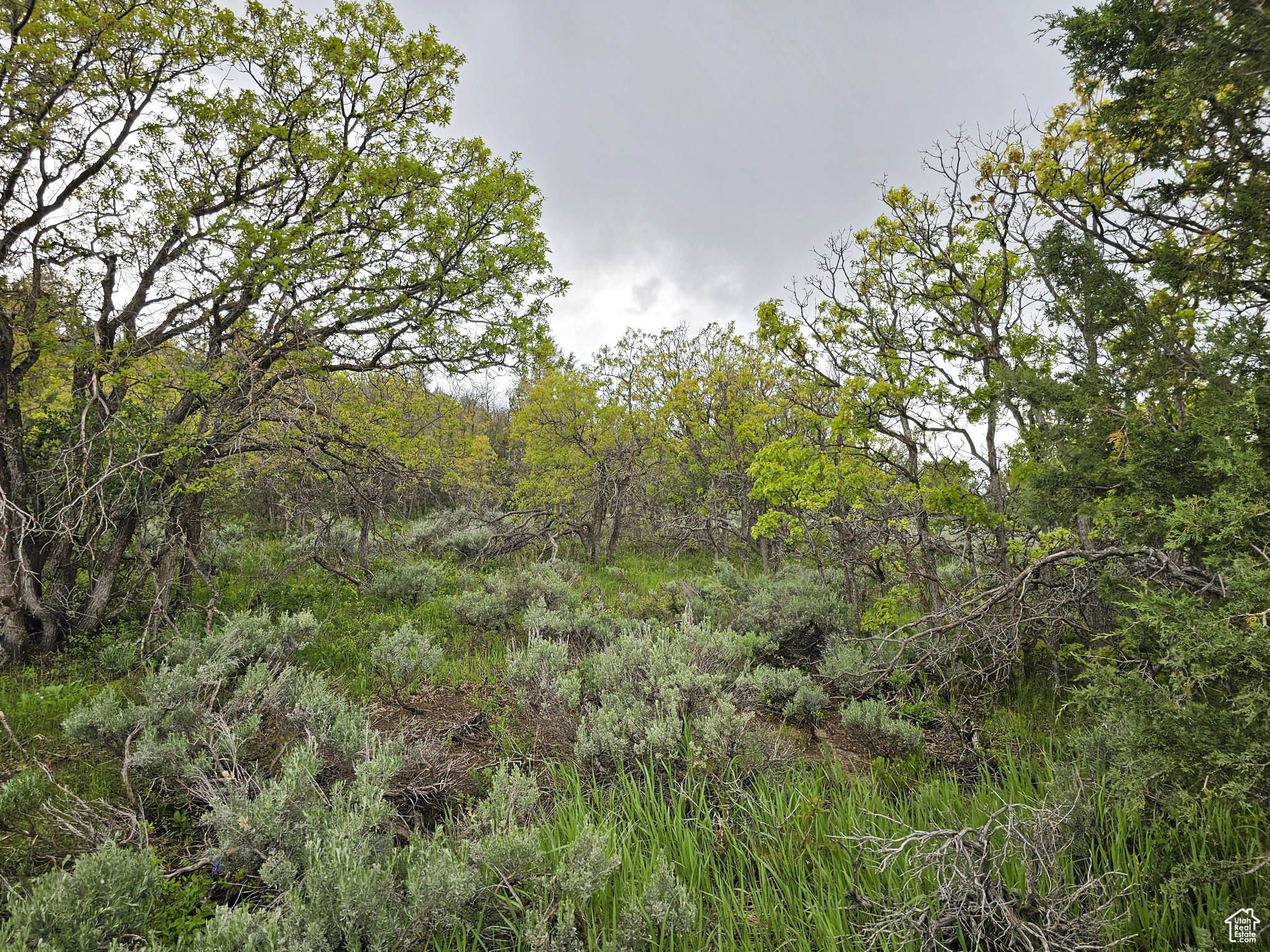 3 Whispering Pines Rd #3, Mt Pleasant, Utah image 11