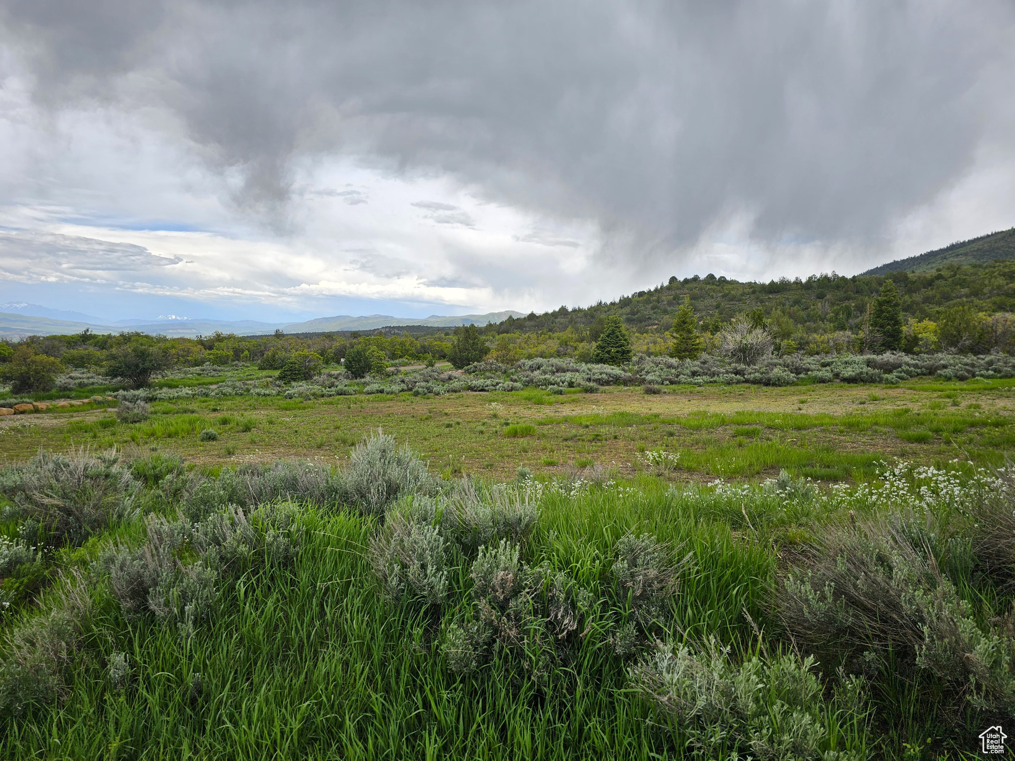 3 Whispering Pines Rd #3, Mt Pleasant, Utah image 4