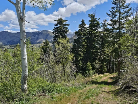 Tiny photo for 27 PINE RIDGE RD #27, Mt Pleasant, UT 84647 (MLS # 2151971)