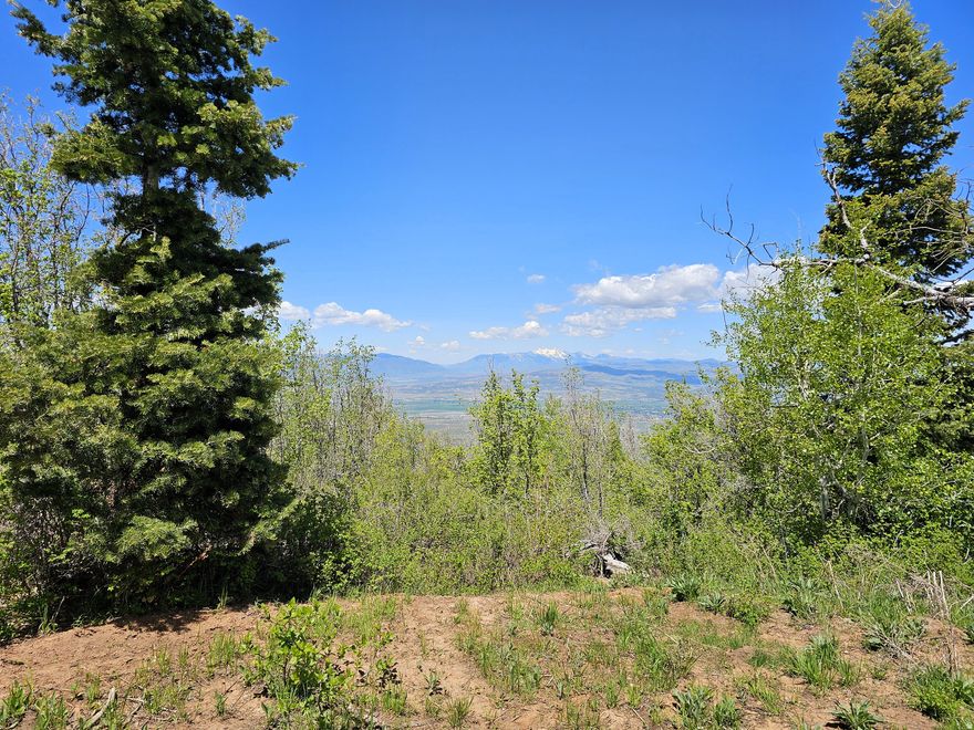 Pines, Aspens, Maples and wonderful views of the mountains and valley. Almost 10 acres of mountain paradise. Lot has Rocky Mountain power, culinary water to the lot and wired DSL internet. Driveway and pad are roughed in. This lot sits on top of a ridge. To the west you have a view of the valley and Mt. Nebo. To the east you have amazing mountain views of the Skyline Drive Mountains. The lot has useable land on top with flat to gentle slope. What more could you want? A stream? The trout stream is in the common area to enjoy. An hour south of Utah county next to the Manti-La Sal mountains. Enjoy Mother Nature at her best. Cool, clean, crisp mountain air! Elevation 8,376. Mt Pleasant is only 15 minutes away, mostly on a paved road, with restaurants, gas stations, hardware store with a lumber yard, grocery store, hospital, indoor community swimming pool and to top it all off, a drive-in theater. Gated community with an electronic access so no need to get out of your vehicle. Wintertime access is with a tracked vehicle. MLS Map is correct. Google Maps & Earth is 39.46884, -111.39948 Buyer to verify all information.