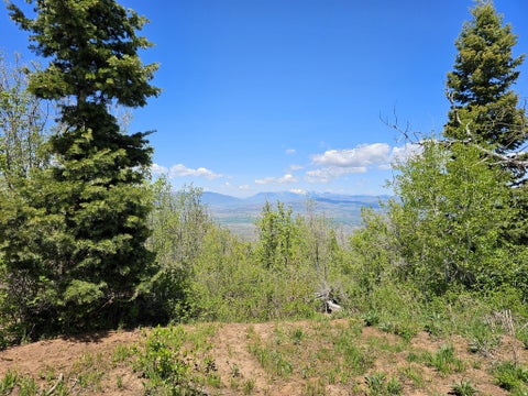Vacant Land For Sale - 27 Pine Ridge Rd #27<br/> Mt Pleasant, UT 84647