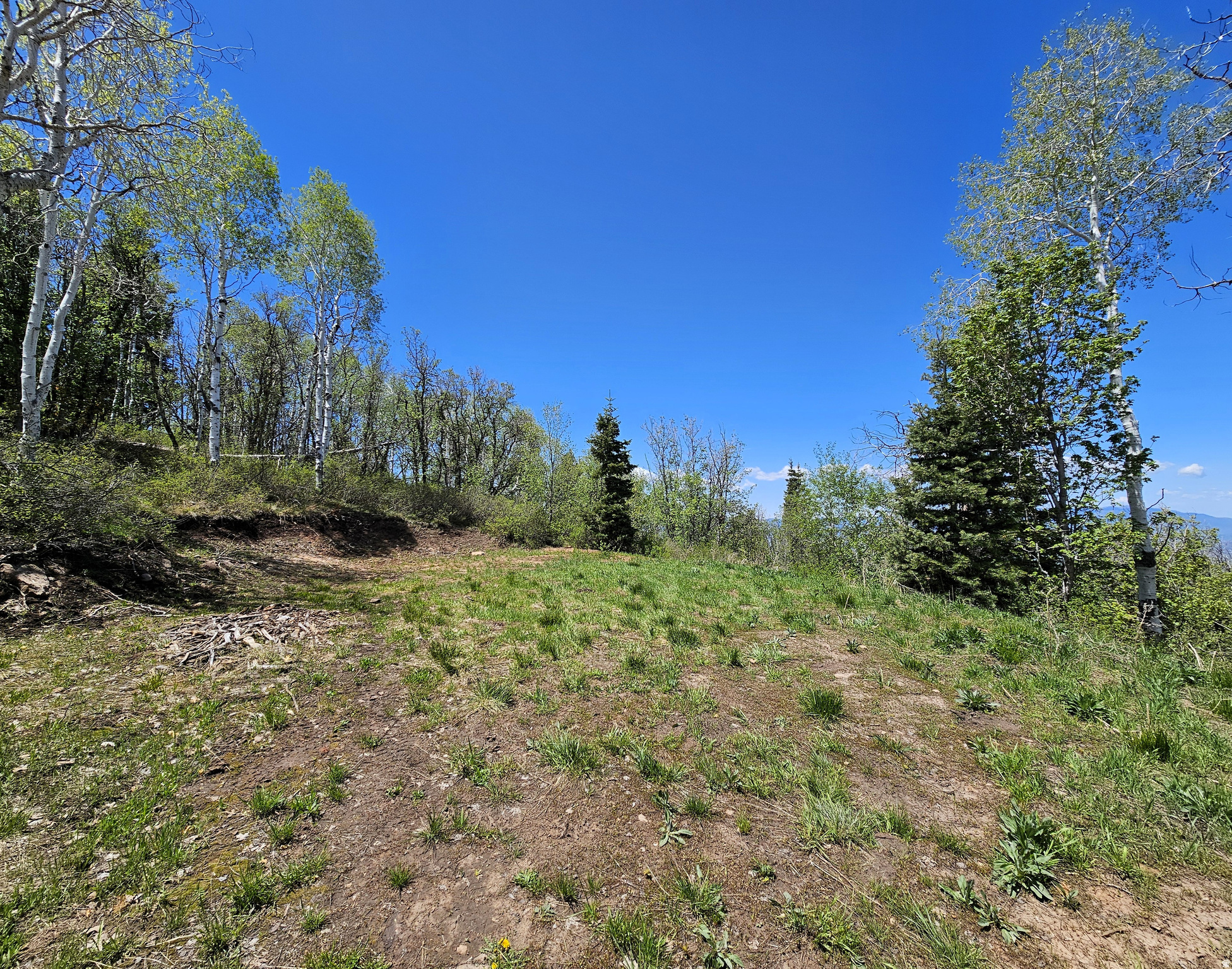 PINE RIDGE ESTATES - Land