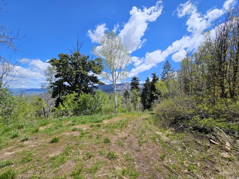 Tiny photo for 27 PINE RIDGE RD #27, Mt Pleasant, UT 84647 (MLS # 2151971)