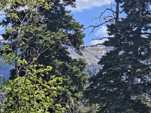 Tiny photo for 27 PINE RIDGE RD #27, Mt Pleasant, UT 84647 (MLS # 2151971)