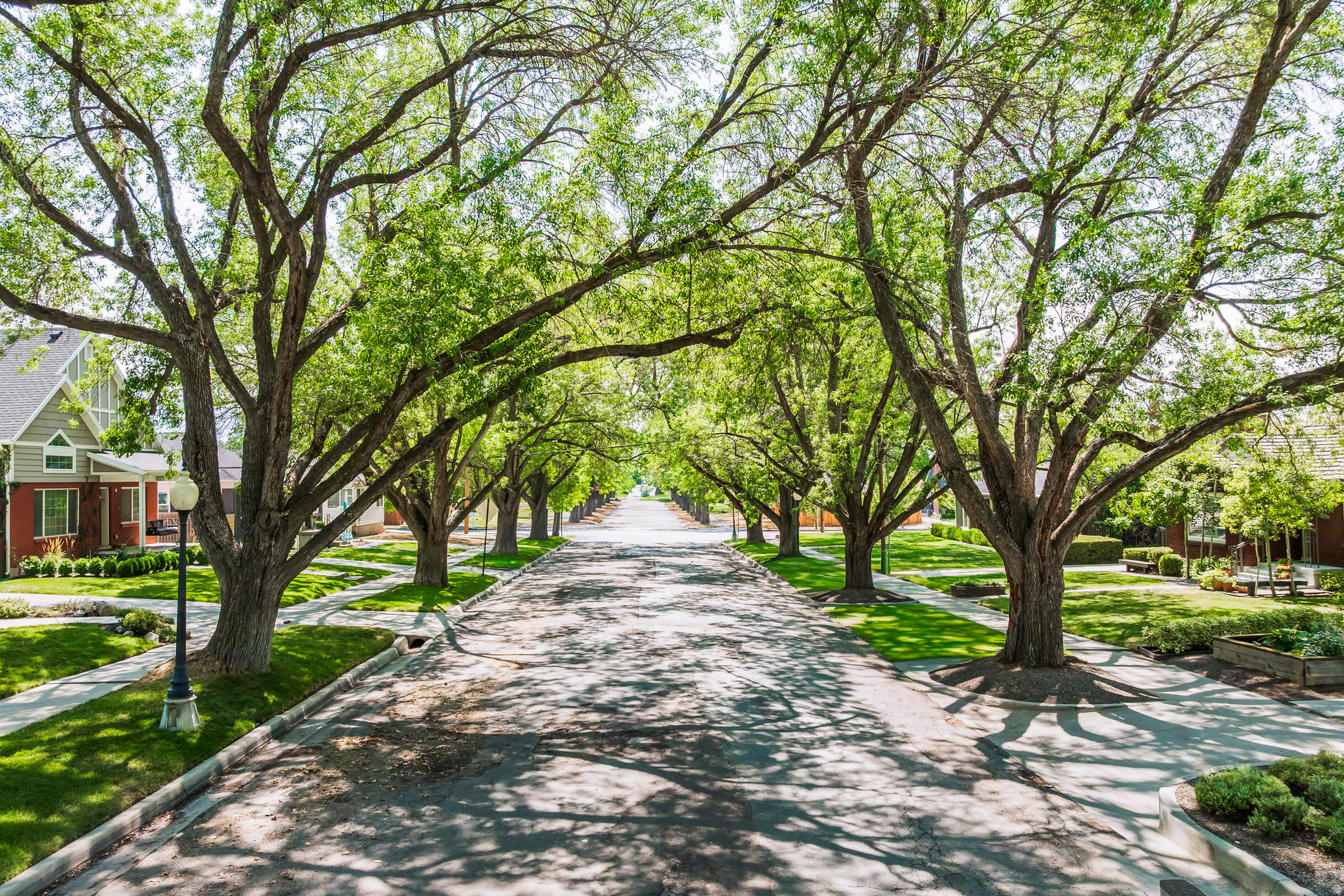 HARVARD/YALECREST - Residential