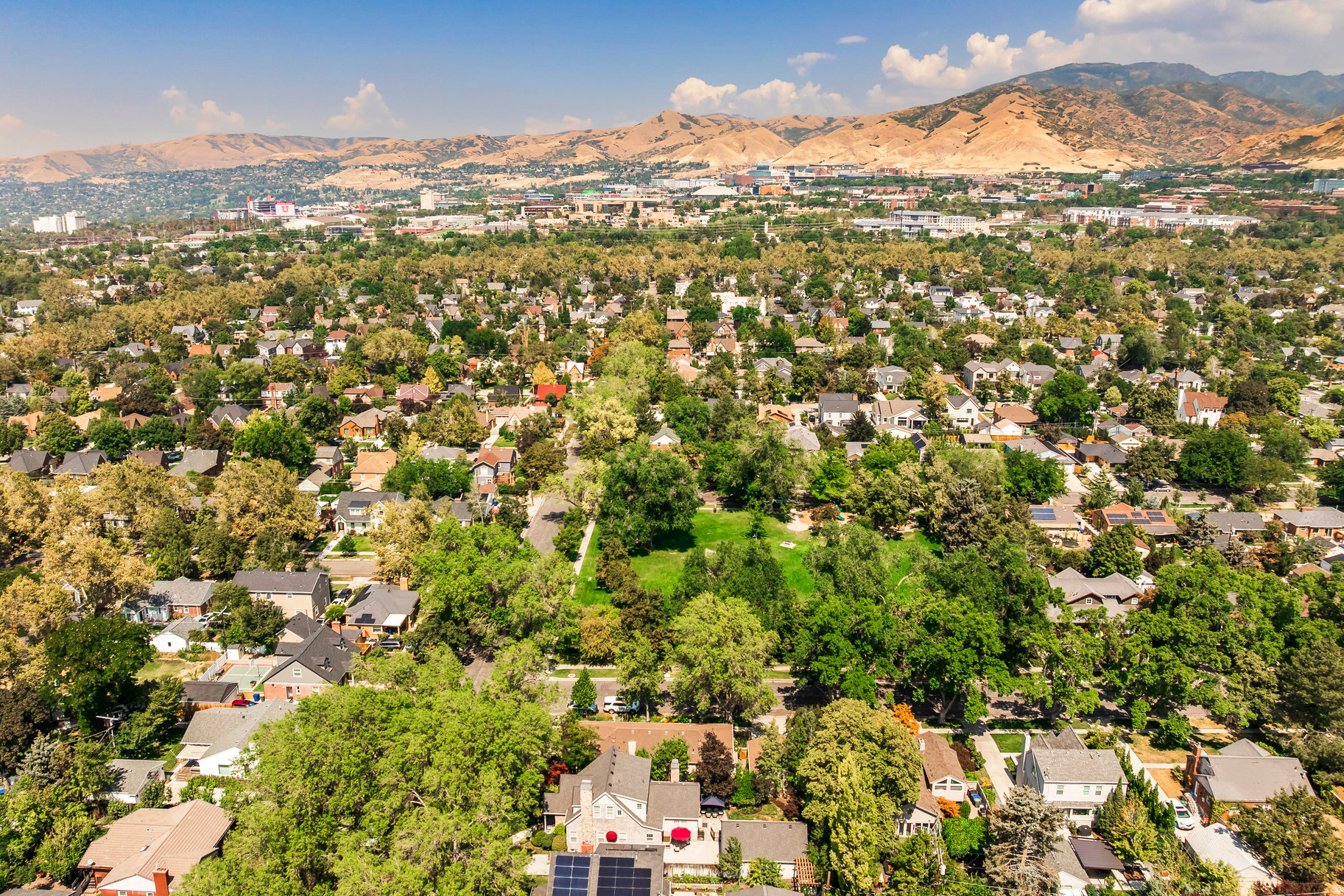 HARVARD/YALECREST - Residential