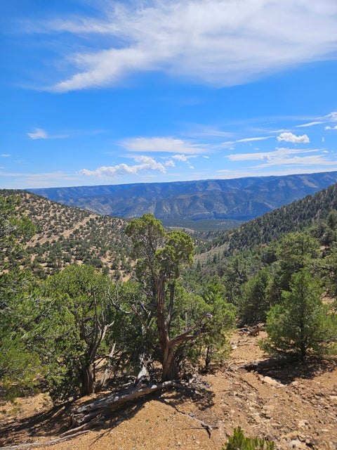 Tiny photo for 0, Fruitland, UT 84027 (MLS # 2186719)