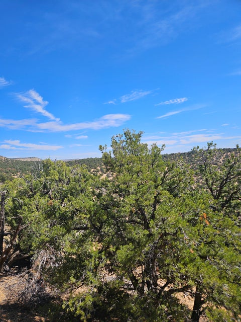 Tiny photo for 0, Fruitland, UT 84027 (MLS # 2186719)