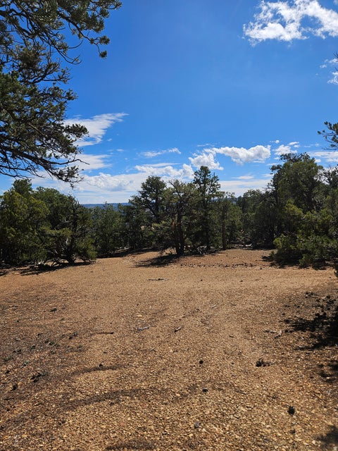Tiny photo for 0, Fruitland, UT 84027 (MLS # 2186719)
