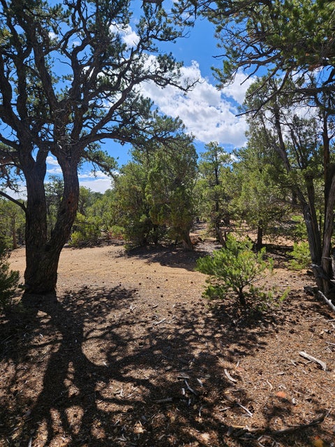 Tiny photo for 0, Fruitland, UT 84027 (MLS # 2186719)