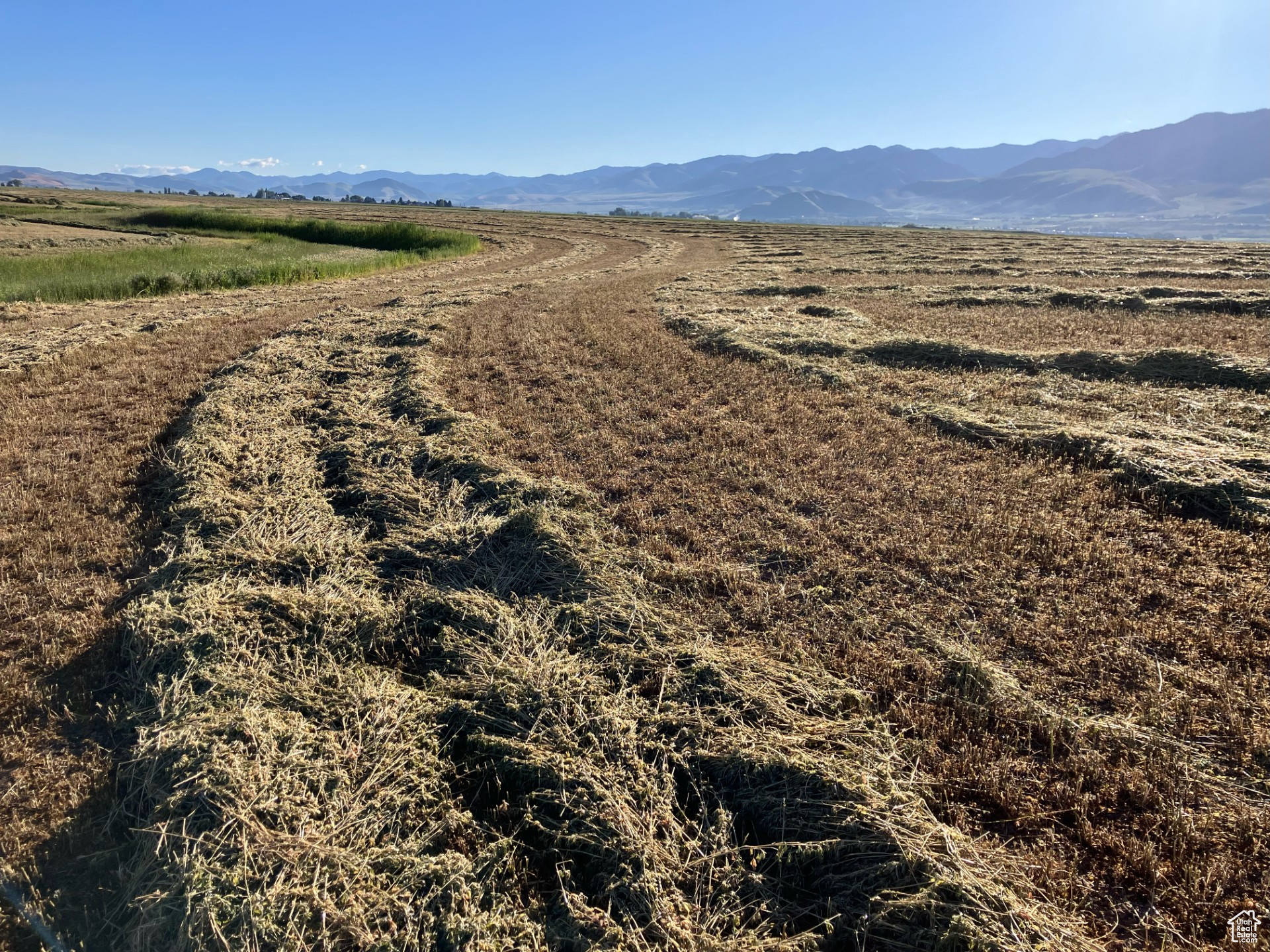 Land, Lewiston, Utah image 4