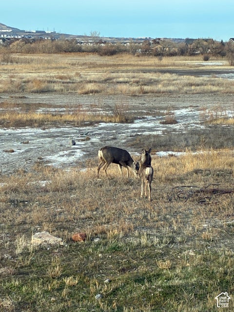Tiny photo for 704 S WATER WAY RD, Lehi, UT 84043 (MLS # 2192465)