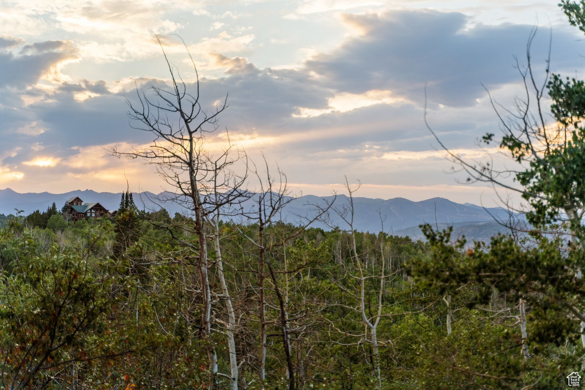 TIMBER LAKES - Residential