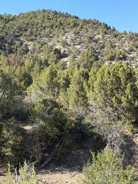 Tiny photo for Salina, UT 84654 (MLS # 2170296)