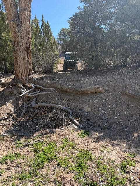 Tiny photo for Salina, UT 84654 (MLS # 2170296)