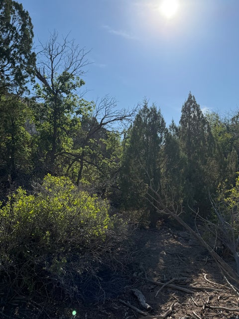 Tiny photo for Salina, UT 84654 (MLS # 2170296)