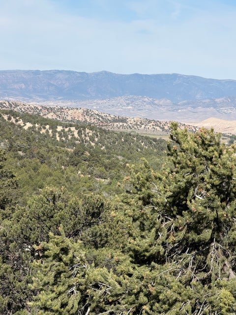 Tiny photo for Salina, UT 84654 (MLS # 2170296)