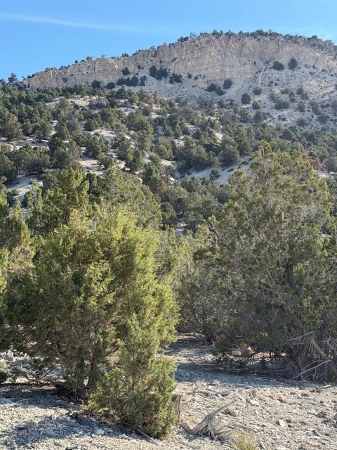 Tiny photo for Salina, UT 84654 (MLS # 2170296)