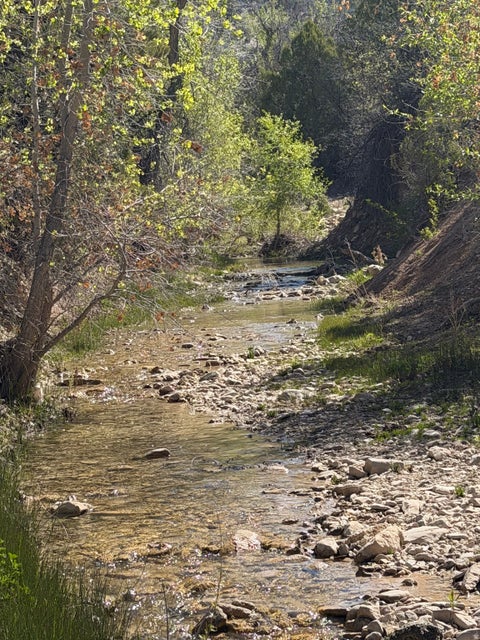 Tiny photo for Salina, UT 84654 (MLS # 2170296)