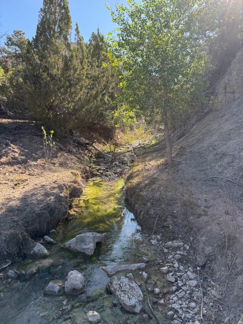 Tiny photo for Salina, UT 84654 (MLS # 2170296)