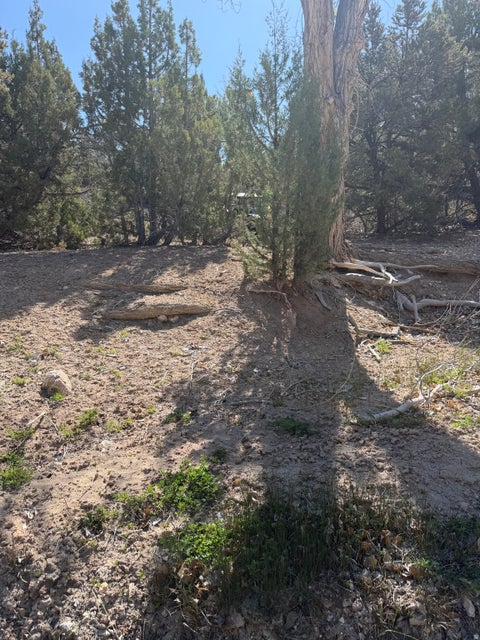 Photo of Salina, UT 84654 (MLS # 2170296)