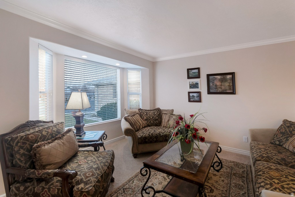 HIDDEN HOLLOW ESTATES - Residential