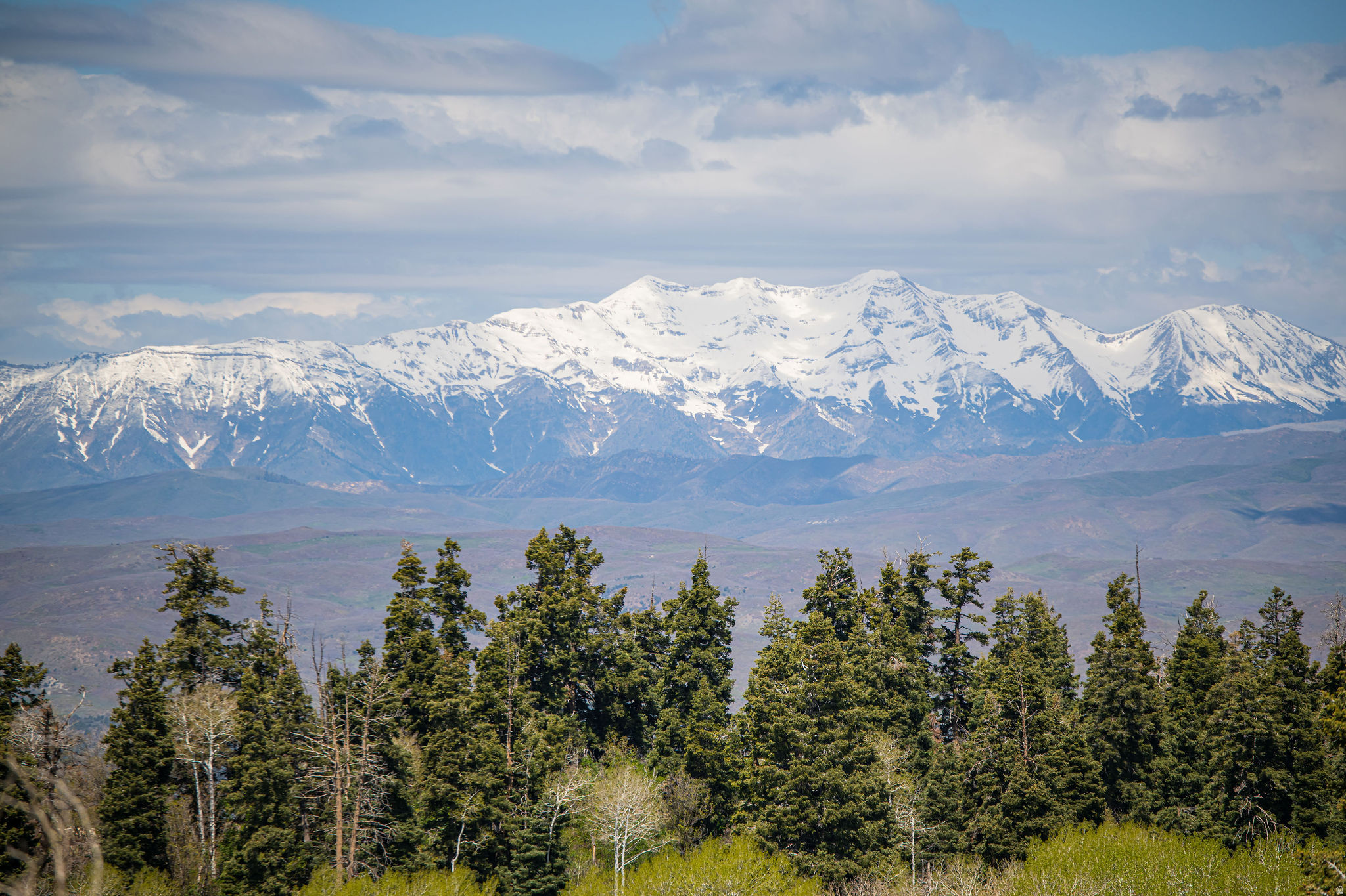 SKYLINE MOUNTAIN RES - Land