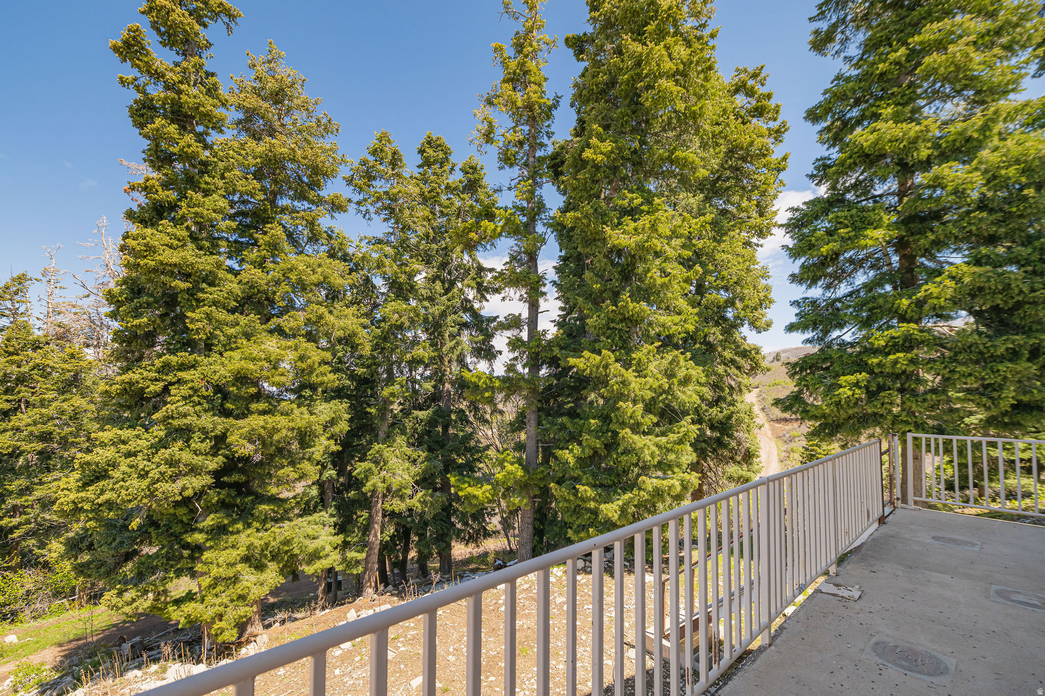 SKYLINE MOUNTAIN RES - Land