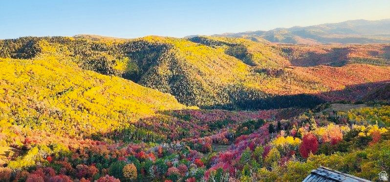 SKYLINE MOUNTAIN RES - Land