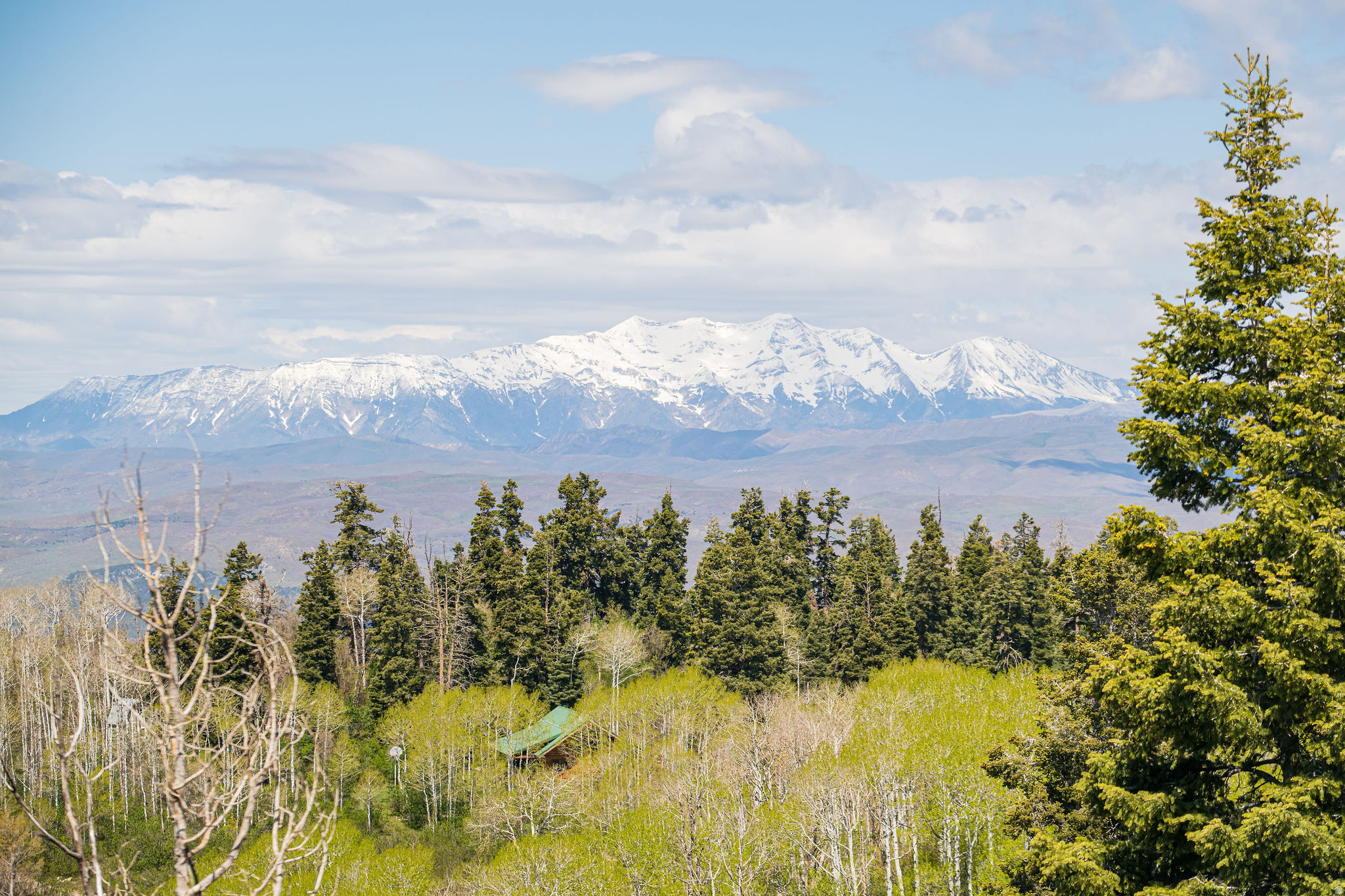 SKYLINE MOUNTAIN RES - Land