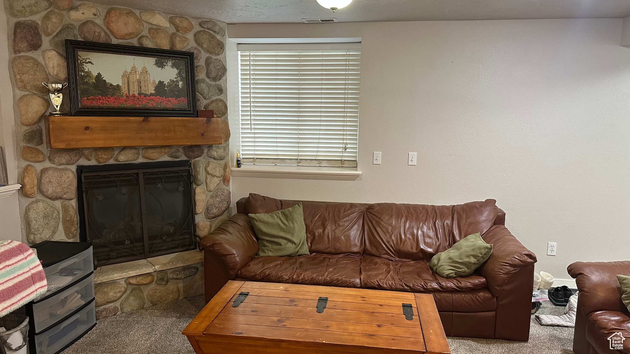10205 N 3900, Cedar Hills, Utah image 28