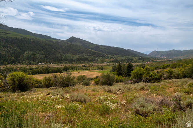 8.11 acre lot in Beautiful Beaver Springs Ranch 9 miles up Weber Canyon Road just outside of Oakley. Build your dream home on this amazing parcel. Incredible mountain setting - hiking, mountain biking, fishing in the summer and snowmobiling and cross country skiing in the winter. Gorgeous location with extraordinary views. One share of Cool Springs Water Company.