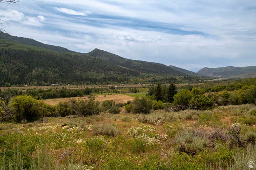 8.11 acre lot in Beautiful Beaver Springs Ranch 9 miles up Weber Canyon Road just outside of Oakley.  Build your dream home on this amazing parcel.  Incredible mountain setting - hiking, mountain biking, fishing in the summer and snowmobiling and cross country skiing in the winter. Gorgeous location with extraordinary views.  One share of Cool Springs Water Company.