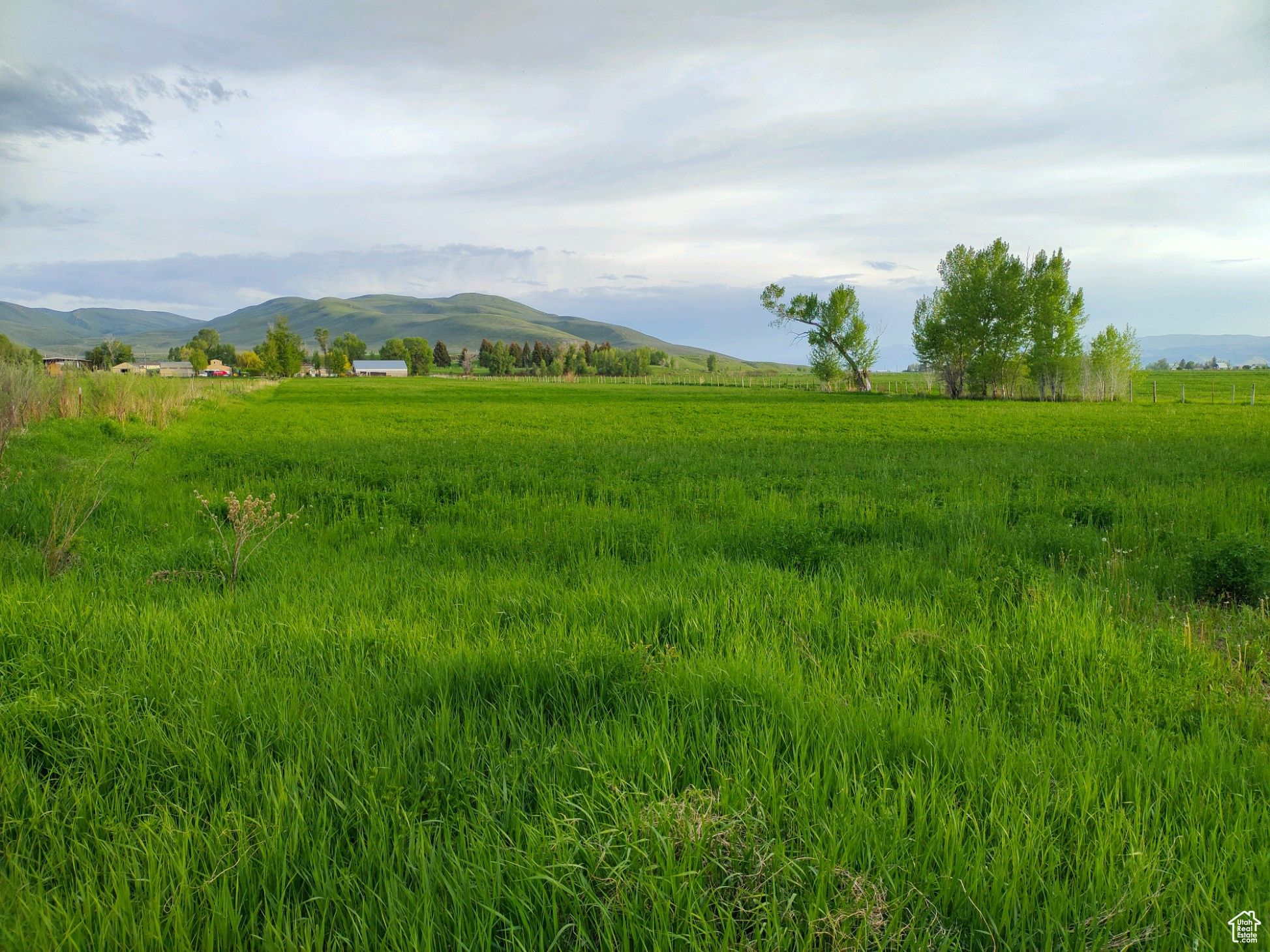 302 4th, Dingle, Idaho image 3