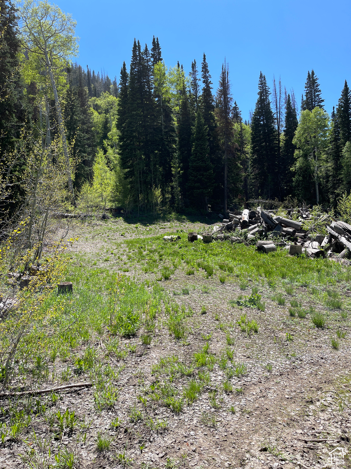 Land, Mt Pleasant, Utah image 15