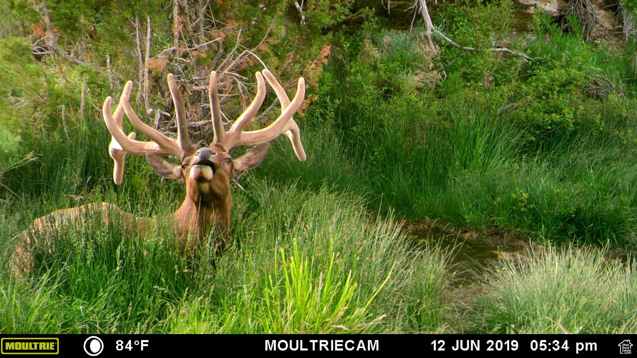 Land, Mt Pleasant, Utah image 47