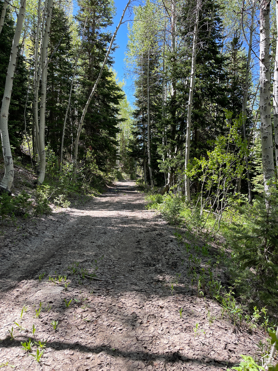 Land, Mt Pleasant, Utah image 36