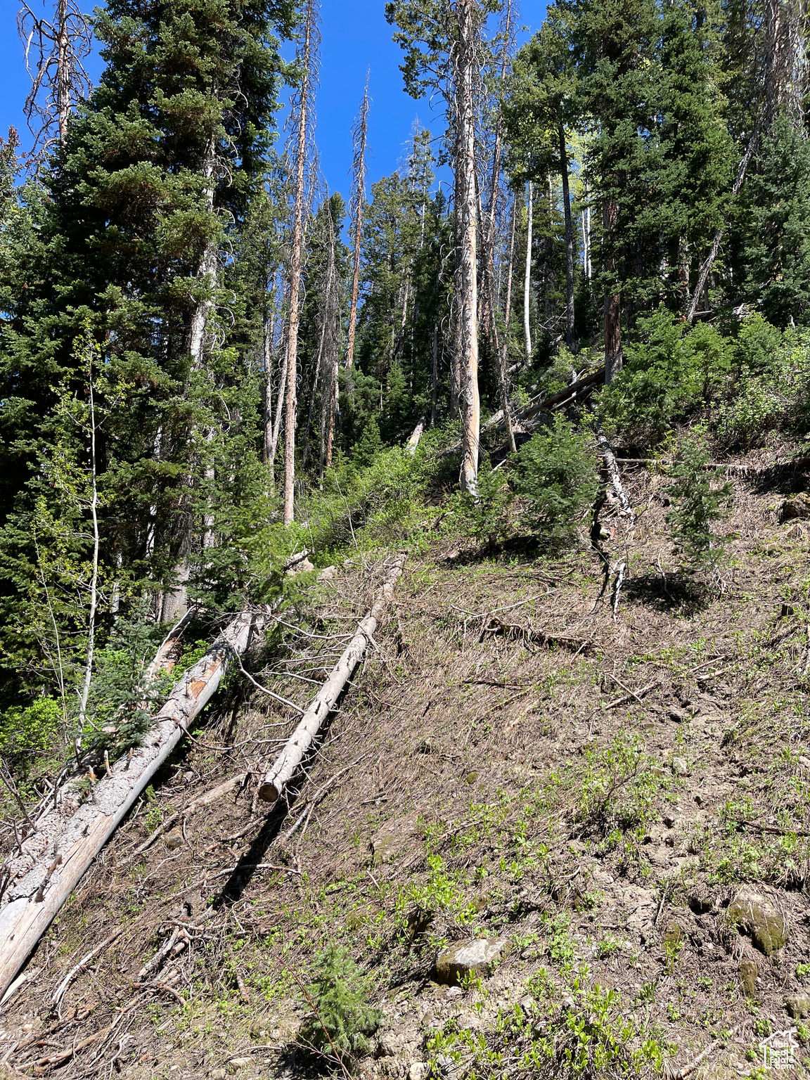 Land, Mt Pleasant, Utah image 12