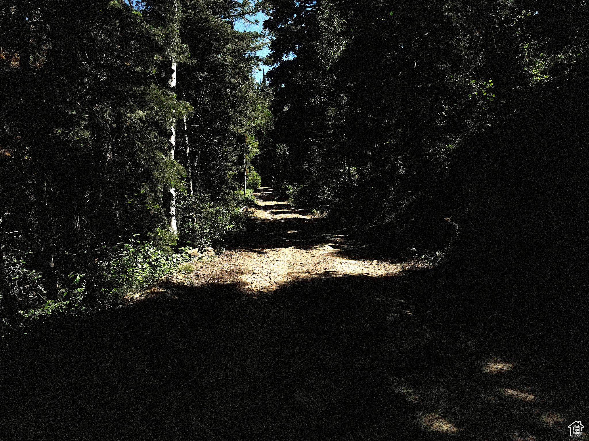 Land, Mt Pleasant, Utah image 40
