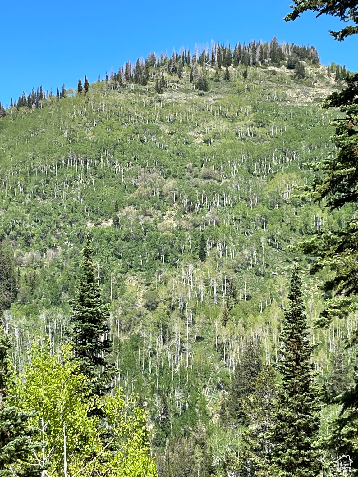 Land, Mt Pleasant, Utah image 23