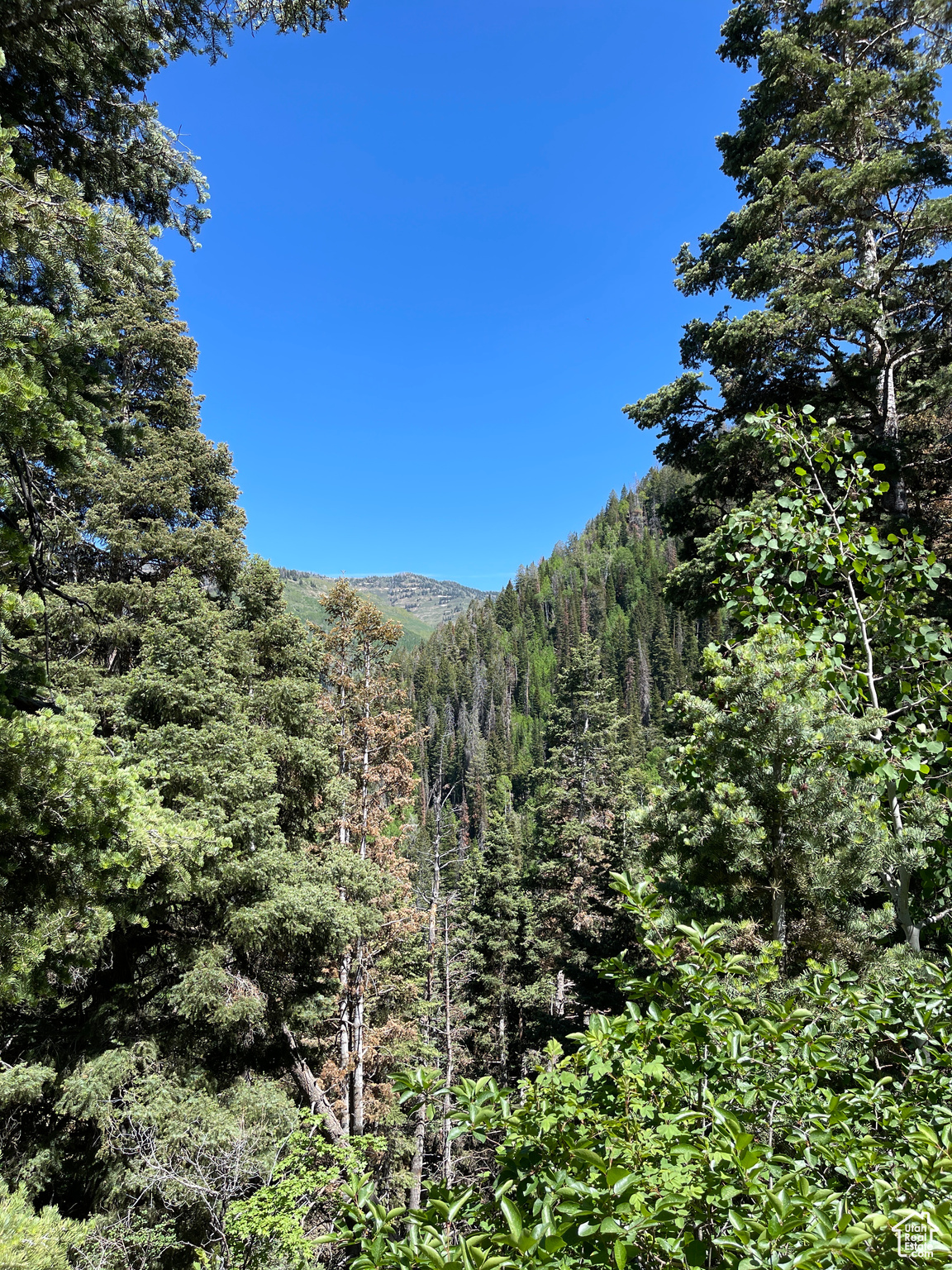 Land, Mt Pleasant, Utah image 11