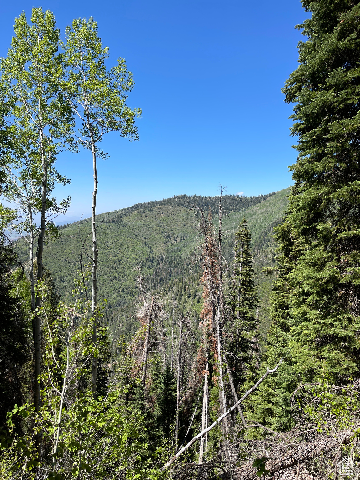 Land, Mt Pleasant, Utah image 31