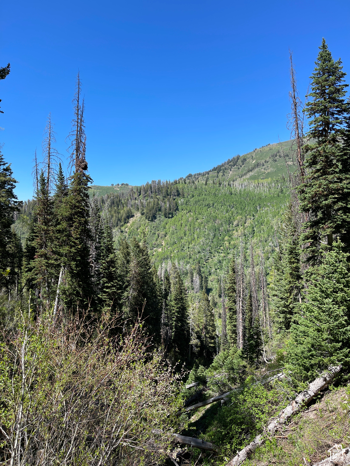 Land, Mt Pleasant, Utah image 33