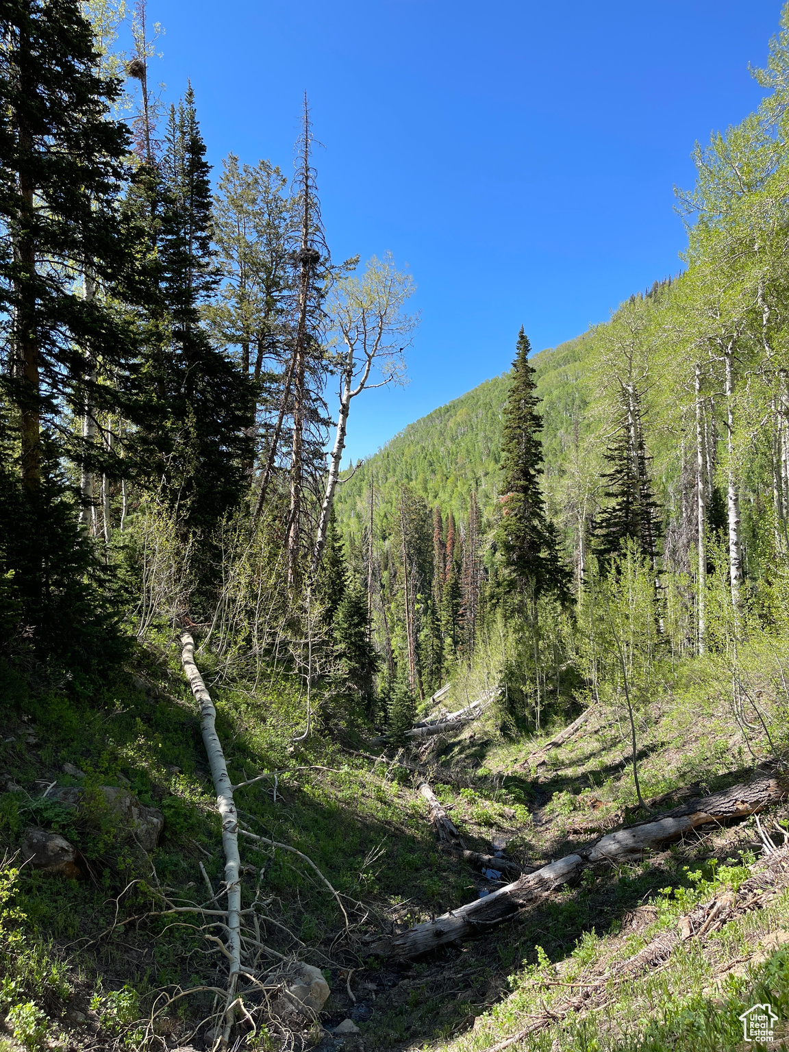 Land, Mt Pleasant, Utah image 44