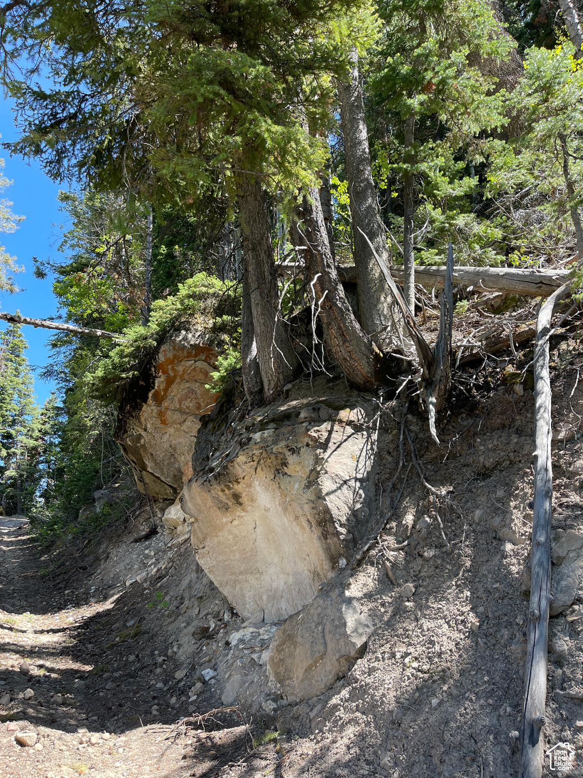 Land, Mt Pleasant, Utah image 34