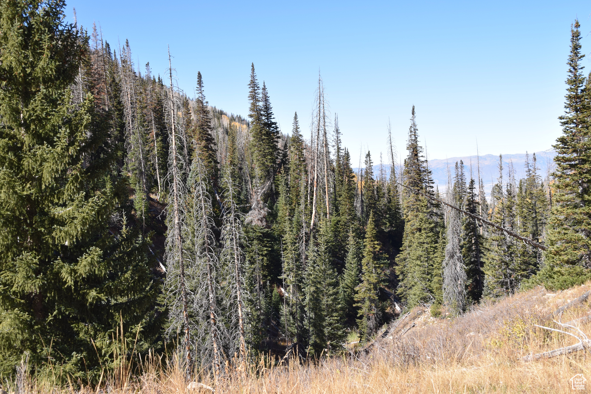 Land, Mt Pleasant, Utah image 19
