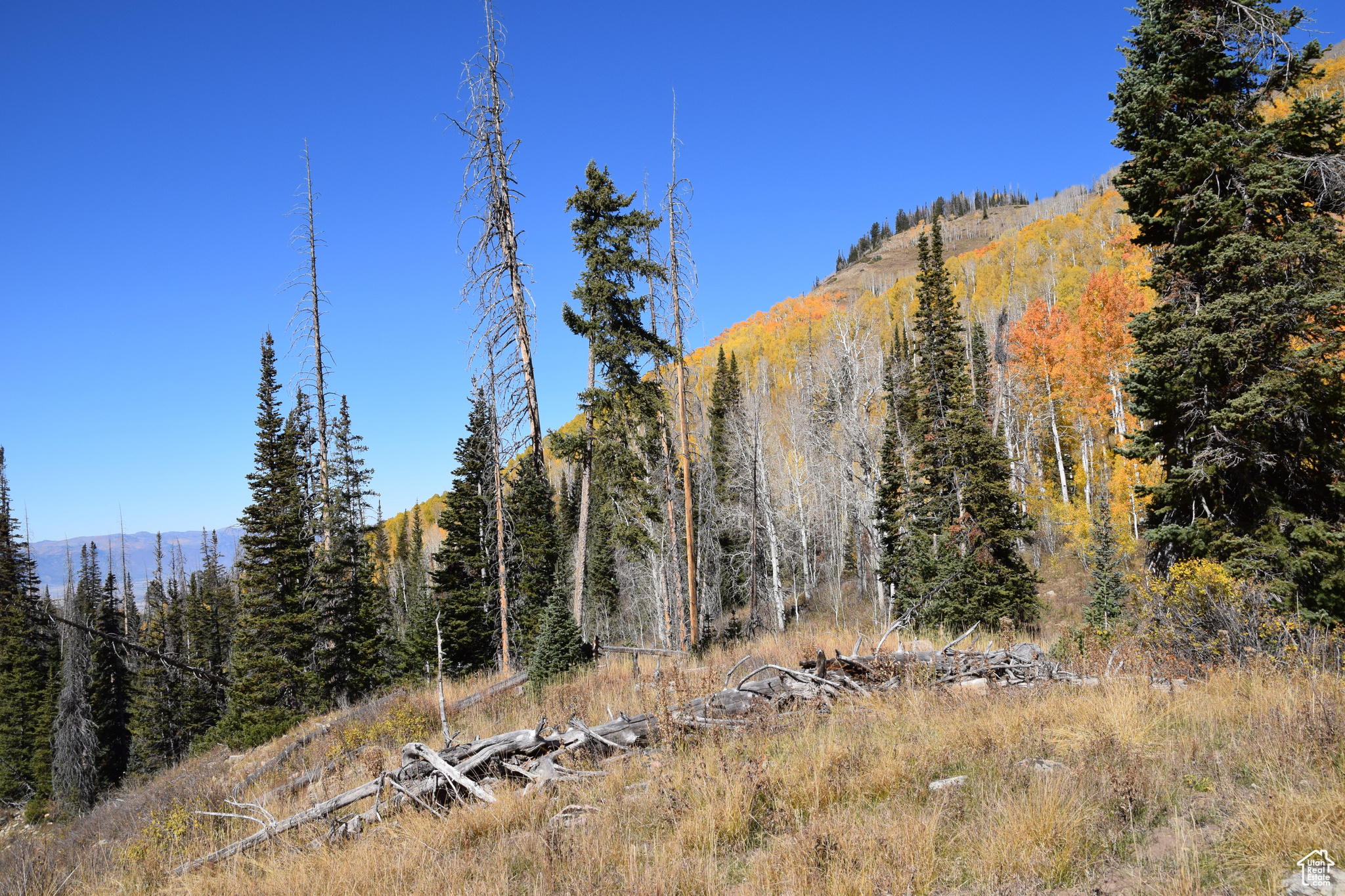 Land, Mt Pleasant, Utah image 27