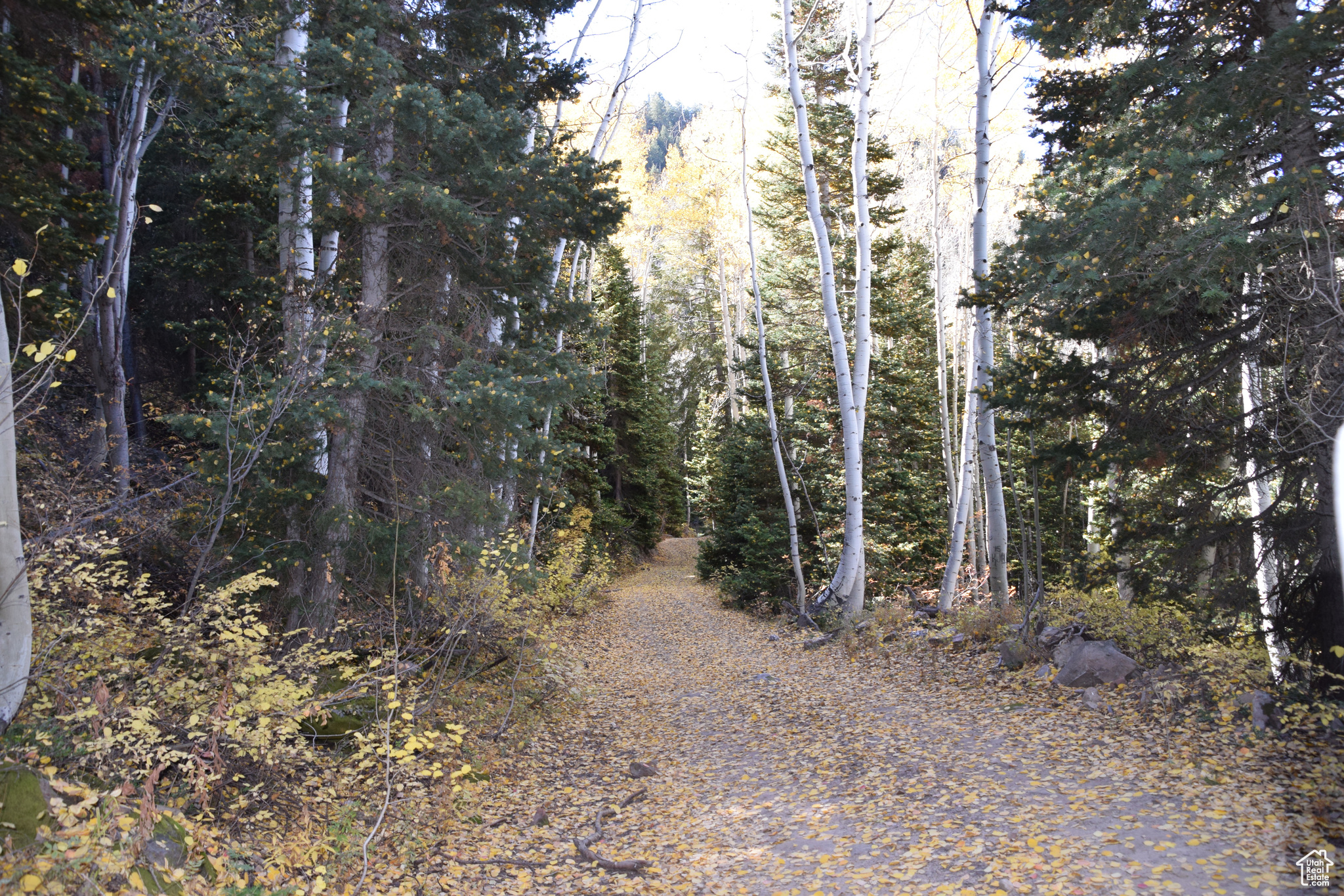 Land, Mt Pleasant, Utah image 17