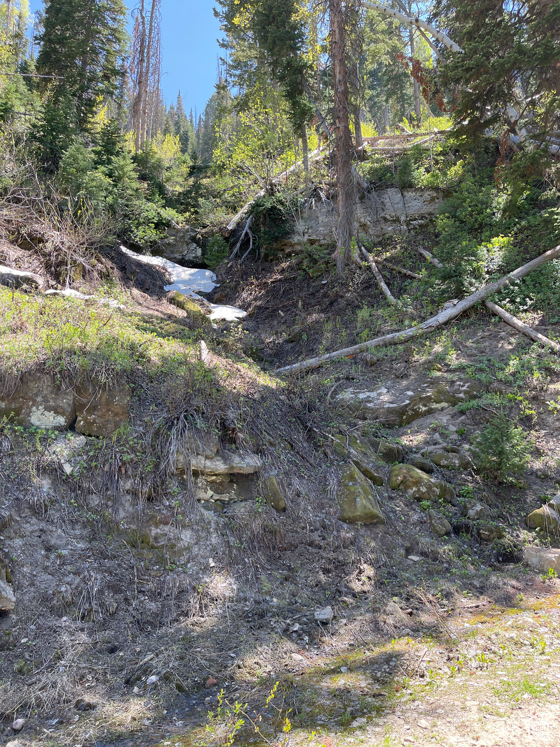 Land, Mt Pleasant, Utah image 13