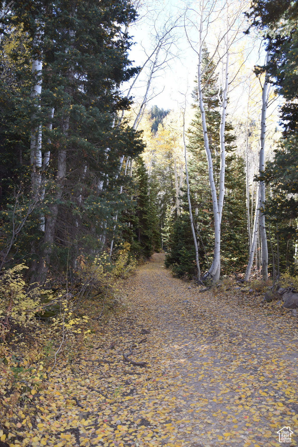 Land, Mt Pleasant, Utah image 24